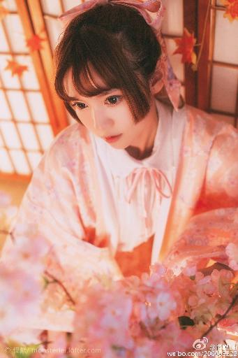 高清DVD碟片收藏指南！日韩欧美经典影片哪家强？